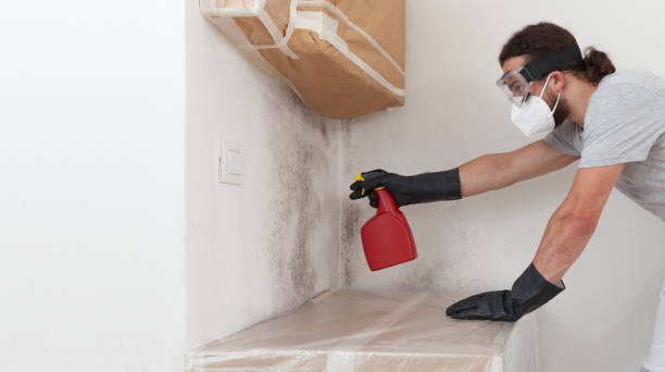 Professional Basement Mold Remediation technician working in Jeffersonton, VA
